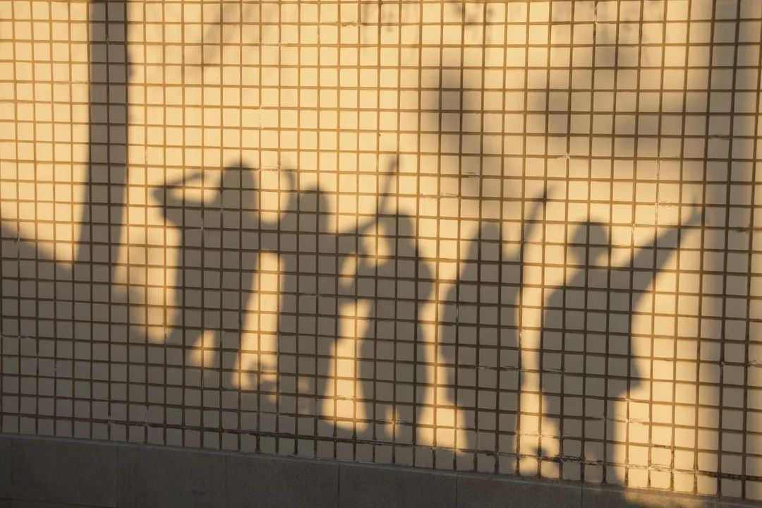 1680674637425787.jpg 21.jpg