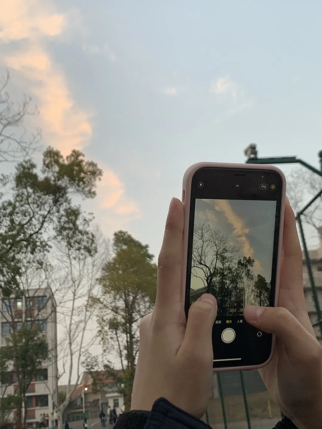 1677996148145550.jpg